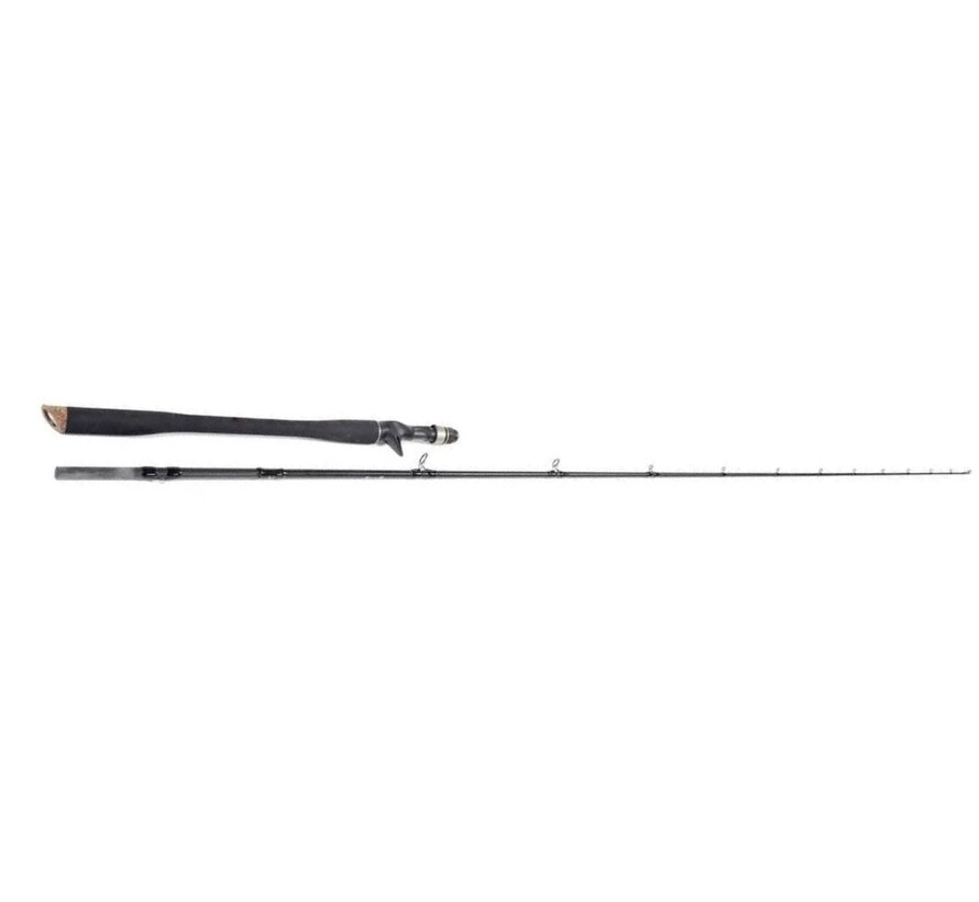 W3 Hybridcast-T 2nd (2,18m) (50-120gr)