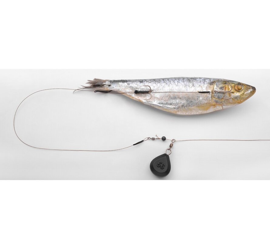 Doodaas Bodem Montage