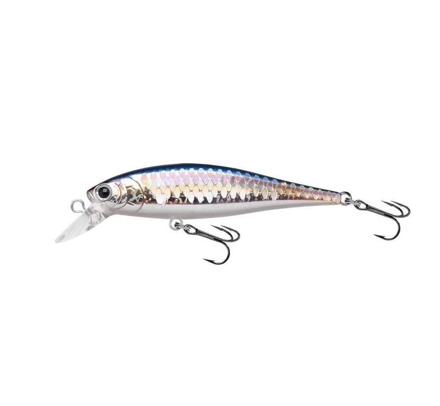 Pointer 65SP (6,5cm) (5gr)