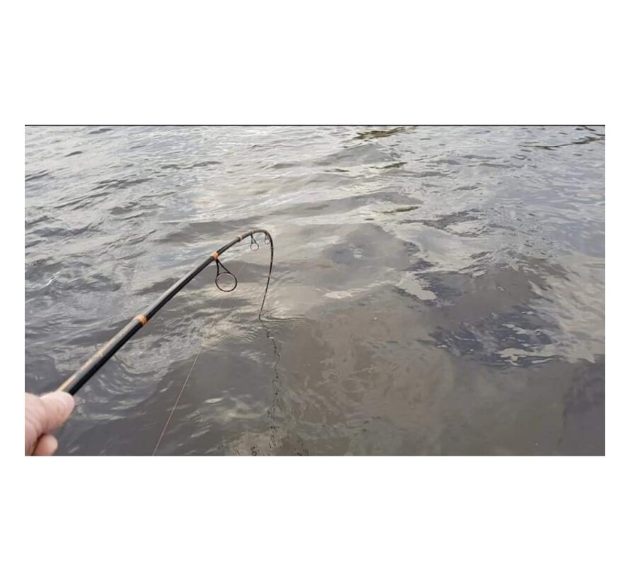 Pike Specialist Spin (2.44m) (15-75gr)