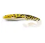 Catfish (25cm) (68gr)