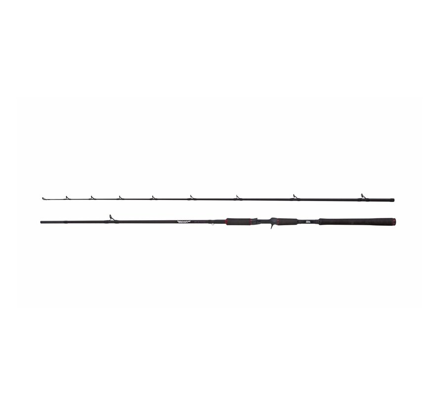 BEAST Pike (2.13m) (20-70gr)