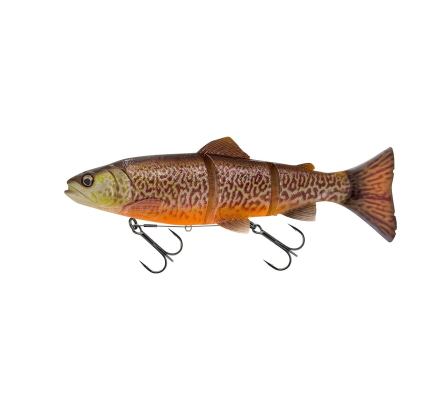 4D Line Thru Trout (15cm) (40gr)