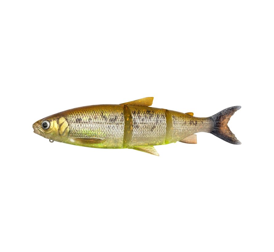 3D Line Thru Whitefish (22cm) (107gr)