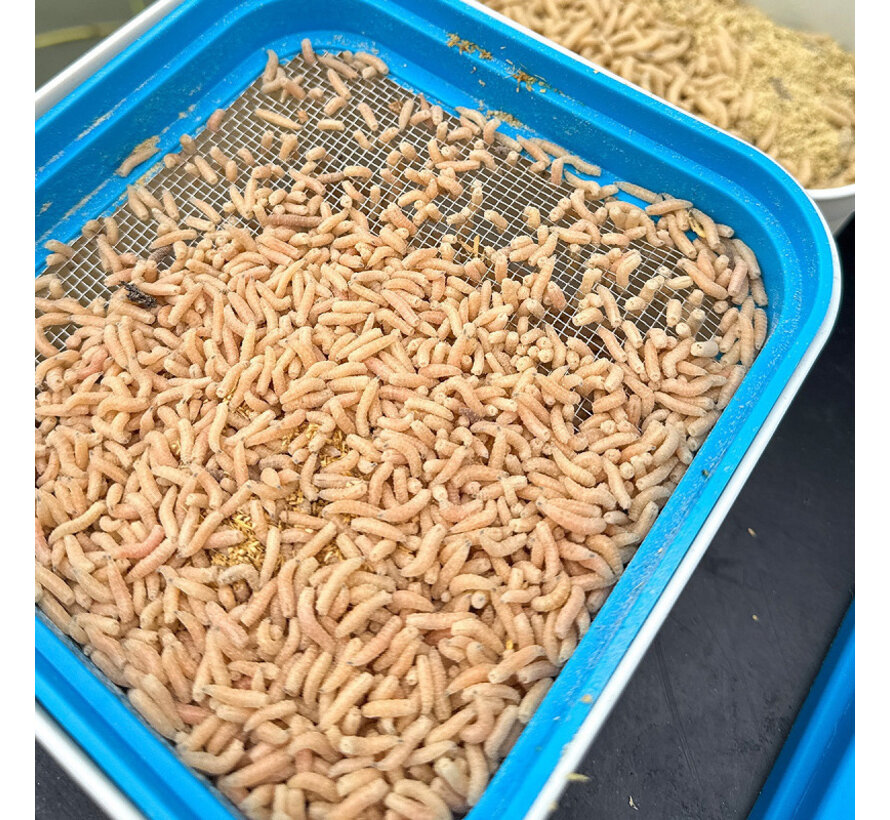 Bait Tube Metal Riddle