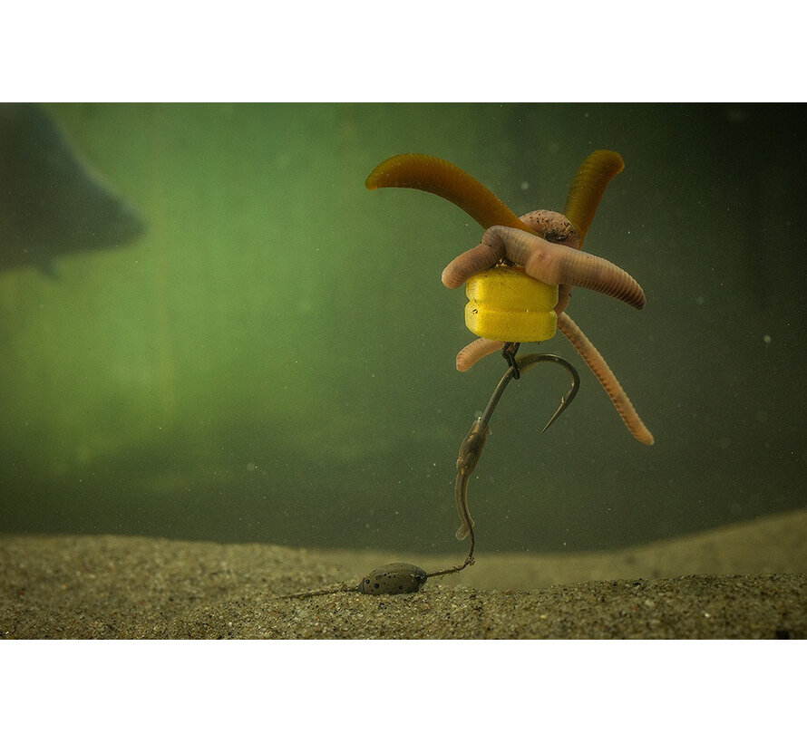 Corn Maggot Clip (5stuks)