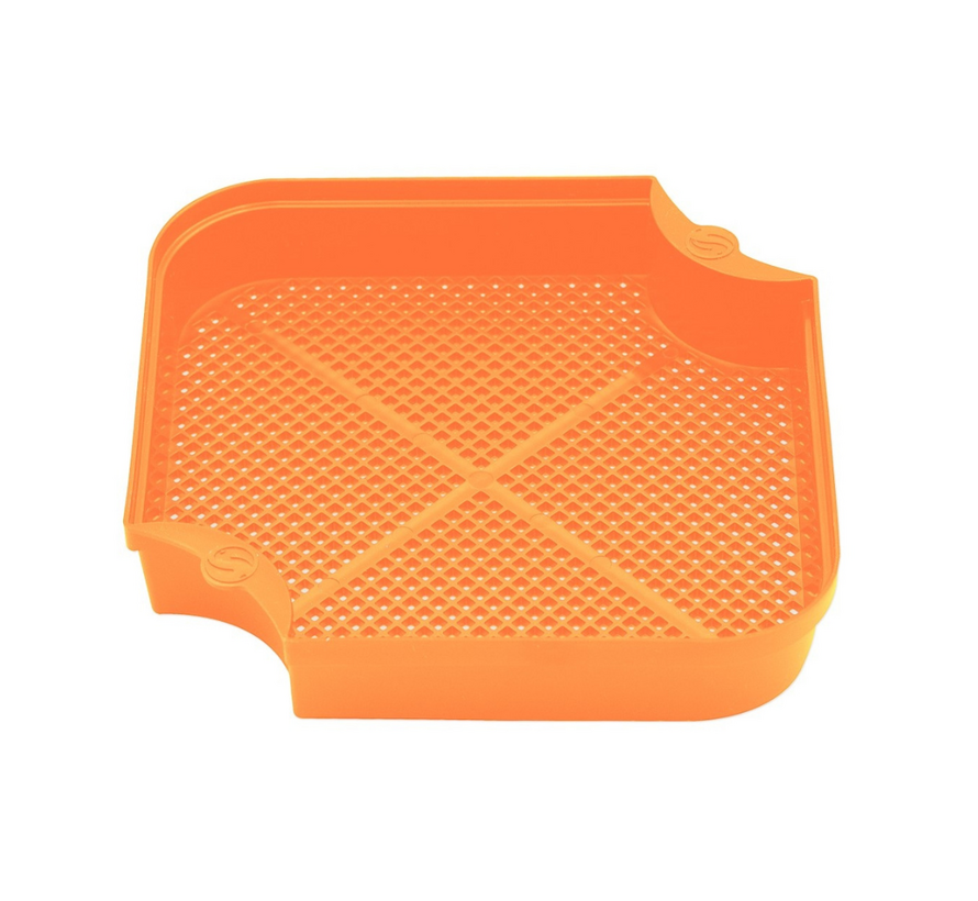 Maggot Riddle Orange