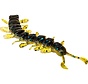 Centipede (9.5cm) (4gr) (4stuks)