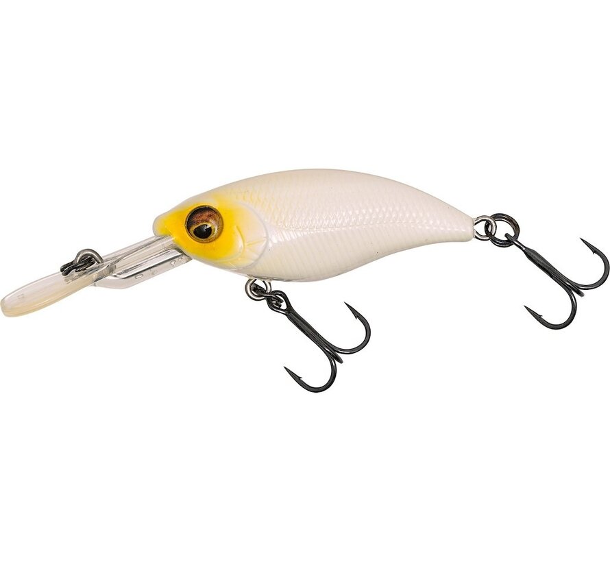 Gift Box Dietmar Isaiaschs Favorites