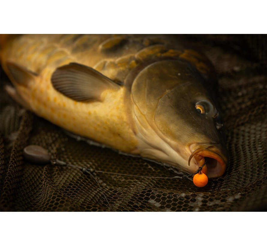 Kickdown Stiff Coated Hooklink (10m)