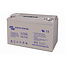 Victron Batterie AGM Deep Cycle 110Ah  | 12 Volt