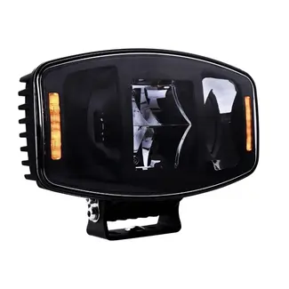 Foco LED con luz diurna WD-100100.1