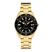 Sem Lewis Lundy Island Diver watch gold colored and black