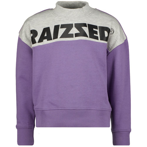 Raizzed Raizzed meiden sweater Madras Grey Purple