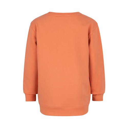 Daily7 Daily7 jongens sweater met kangaroezak Dusty Orange