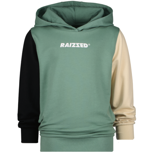 Raizzed Raizzed jongens hoodie Newburg Russian Green