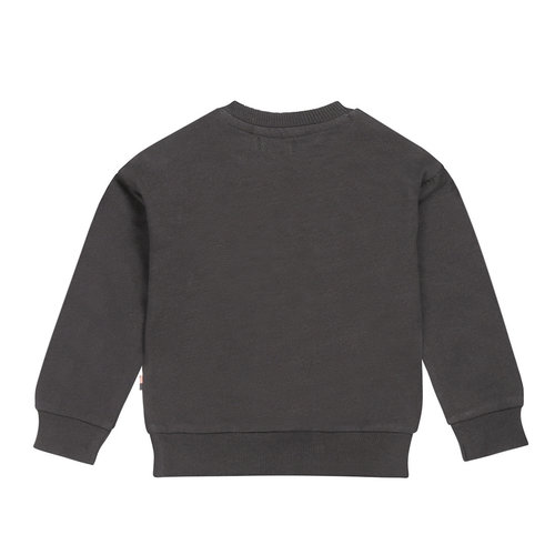 Dirkje Dirkje baby meisjes sweater feathers Dark Grey