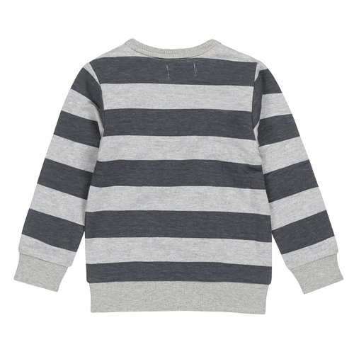 Dirkje Dirkje baby jongens sweater stripe Tiger Grey