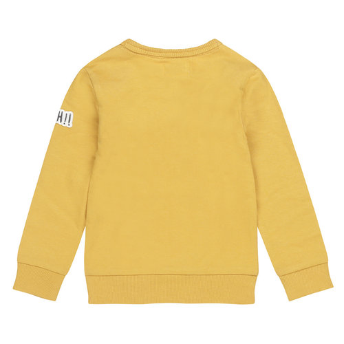 Dirkje Dirkje baby jongens sweater Break Rules Ochre