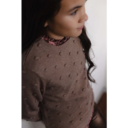 LEVV Levv meiden sweater Ana Brown Sesam
