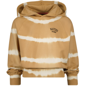 Raizzed Raizzed meiden sweater Galway Light Honey Brown