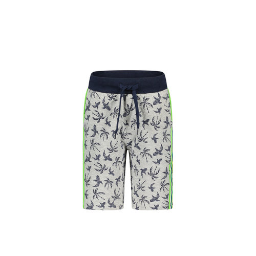 TYGO & vito TYGO & vito jongens korte joggingbroek Palmtree Grey Melee