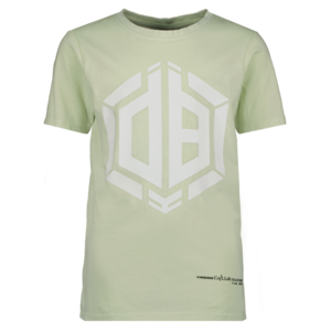 Vingino Vingino Daley Blind jongens t-shirt Houndi Summer Mint