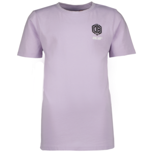 Vingino Vingino Daley Blind jongens t-shirt Hasoi Grey Purple