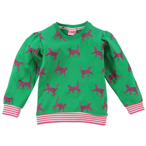 O'Chill O'Chill meisjes sweater Desi Green