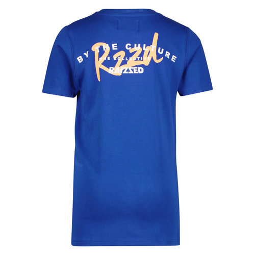 Raizzed Raizzed jongens t-shirt Sunray Street Blue