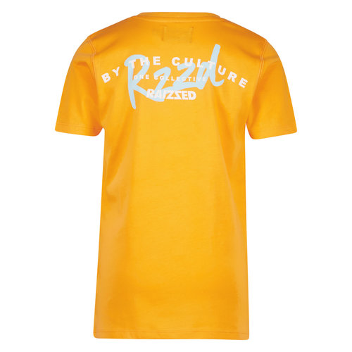 Raizzed Raizzed jongens t-shirt Sunray Fruit Orange