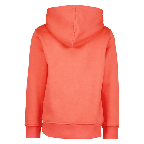 Raizzed Raizzed jongens hoodie Webb Peach Red