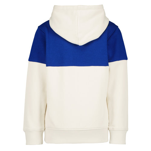 Raizzed Raizzed jongens hoodie Waldron Offwhite Grey