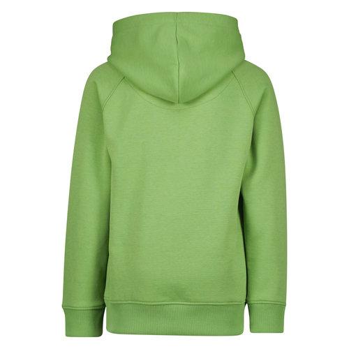 Raizzed Raizzed jongens hoodie Williston Retro Green