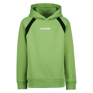 Raizzed Raizzed jongens hoodie Williston Retro Green