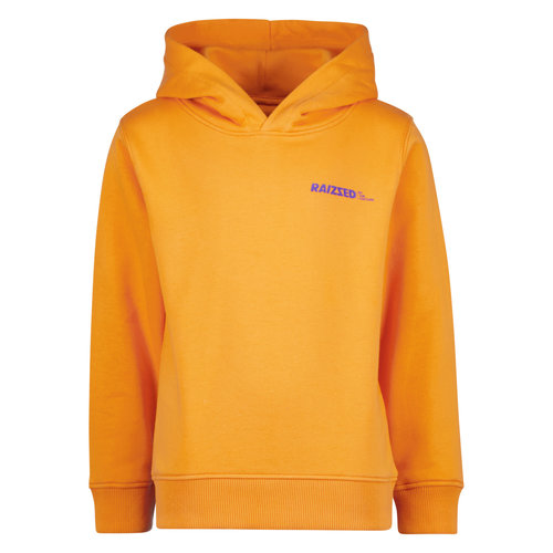 Raizzed Raizzed jongens hoodie Newfield Fruit Orange Raizzed Raizzed jongens hoodie Newfield Fruit Orange