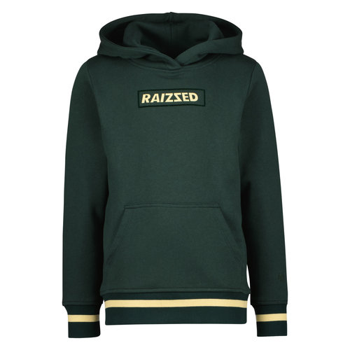 Raizzed Raizzed jongens hoodie Westend Boston Green Raizzed Raizzed jongens hoodie Westend Boston Green
