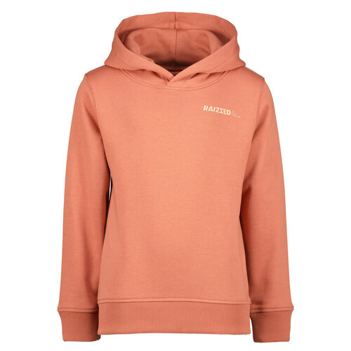 Raizzed Raizzed jongens hoodie Newfield Faded Rust Raizzed Raizzed jongens hoodie Newfield Faded Rust