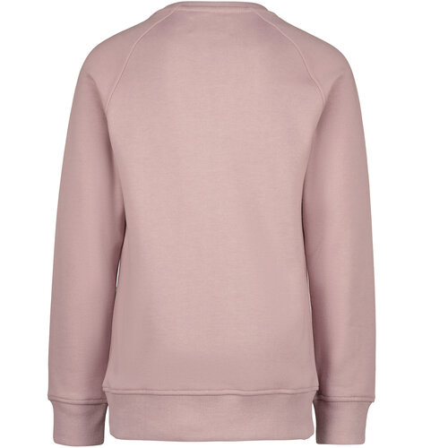 Raizzed Raizzed jongens sweater Colton Gray Mauve