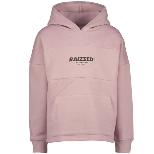 Raizzed Raizzed jongens hoodie Djurre Gray Mauve