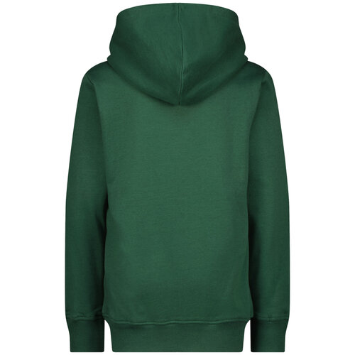 Raizzed Raizzed jongens hoodie Redding British Green