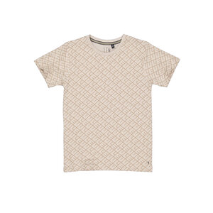 Quapi Levv jongens t-shirt Kaden aop Taupe Text