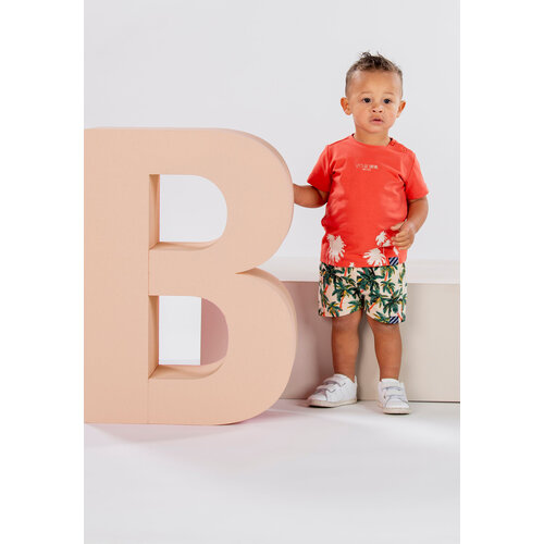 B.Nosy B.Nosy baby jongens t-shirt Karsten Paprika