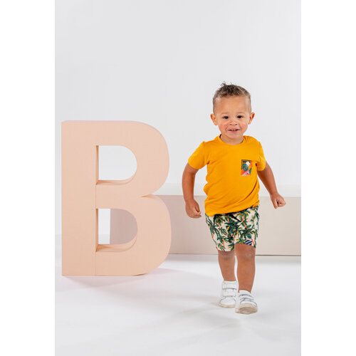 B.Nosy B.Nosy baby jongens t-shirt Keanu Sunflower