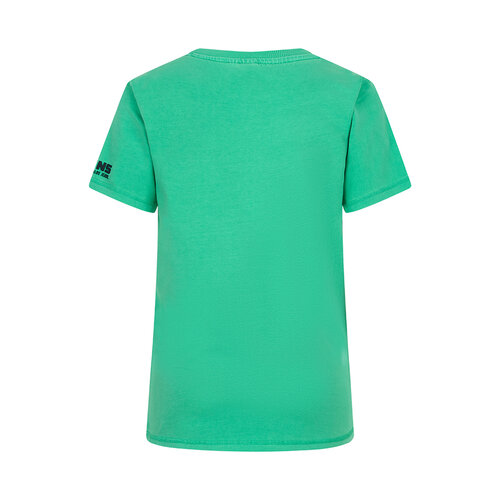 Indian Blue Indian Blue jongens t-shirt Fancy Basic Spring Green