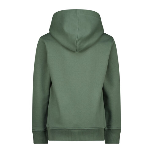 Vingino Vingino jongens hoodie Basic Biome Green