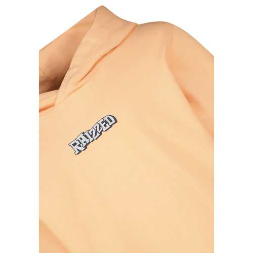 Raizzed Raizzed jongens hoodie Nelo Sunset Coral