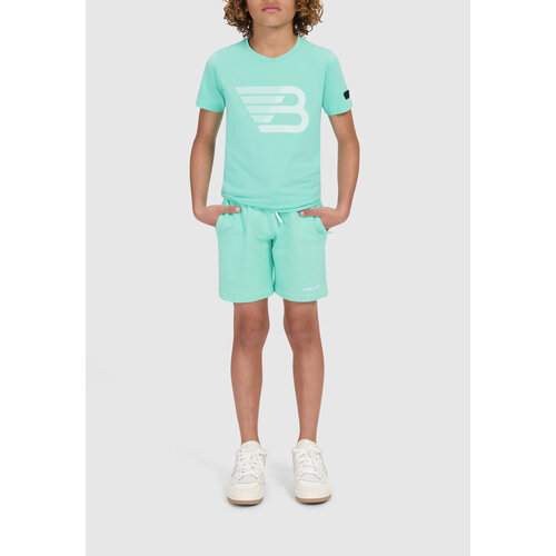 Ballin Ballin jongens t-shirt HD Icon Logo Print Dark Mint