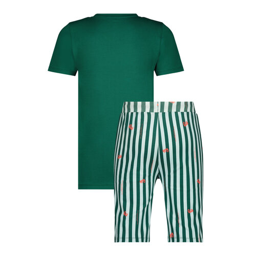 Vingino Vingino jongens pyjama Winio Bottle Green