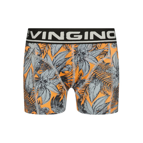 Vingino Vingino jongens ondergoed 2-pack boxers Leaf Deep Black